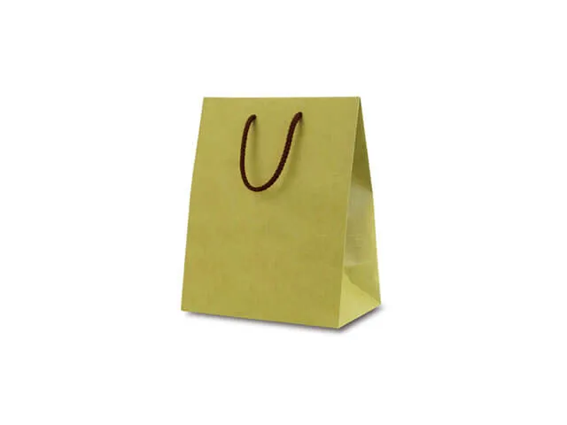 紙袋 既製品：カラークラフト